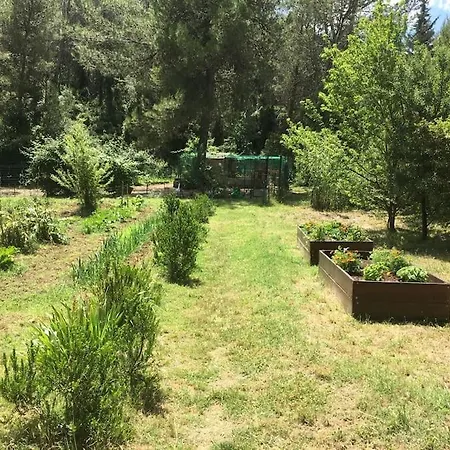 Charmante Maison En Pleine Nature Avec Piscine Assas