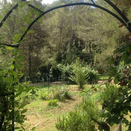 Prázdninový dům Charmante Maison En Pleine Nature Avec Piscine Assas