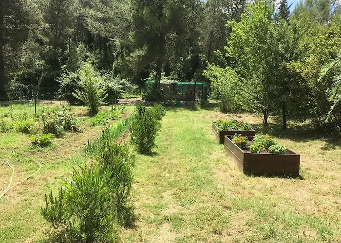 Charmante Maison En Pleine Nature Avec Piscine Assas