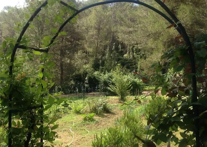 Nyaraló Charmante Maison En Pleine Nature Avec Piscine Assas